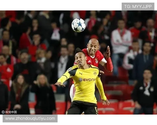 斗球直播官网地址官方入口大全，涵盖所有最新赛事直播地址的完整资源介绍